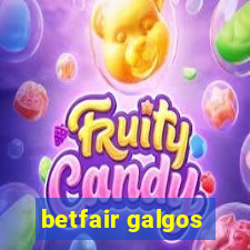 betfair galgos